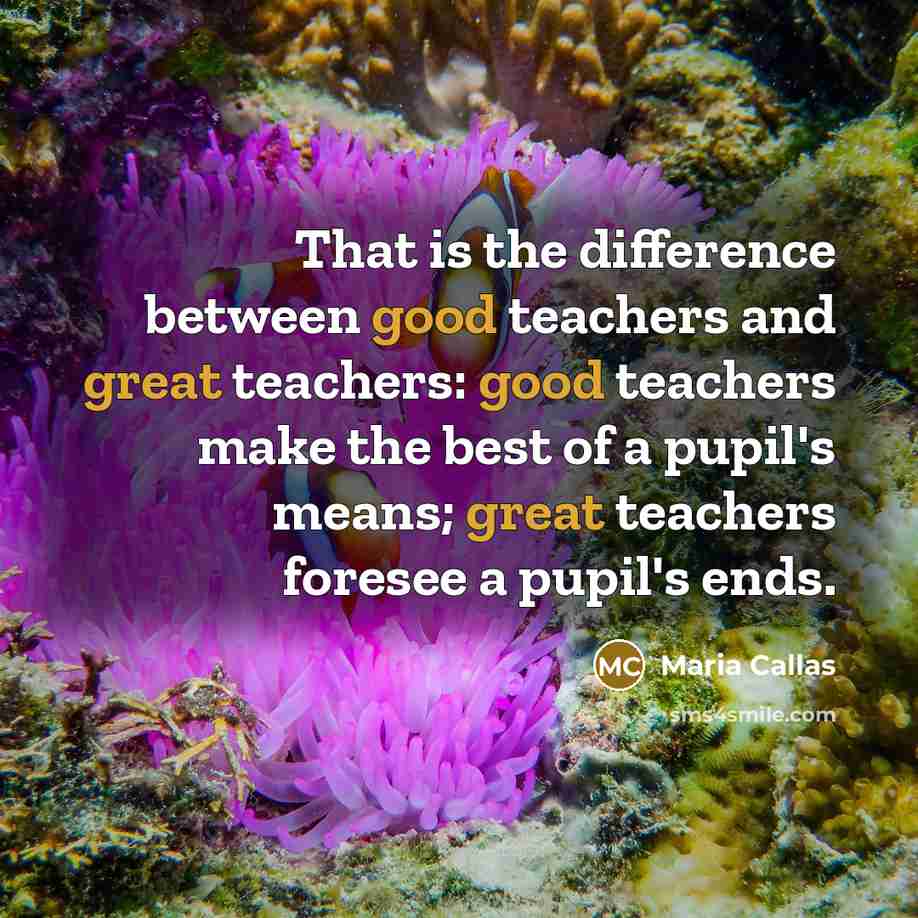 “That is the difference between good teachers and great teachers: good teachers make the best of a pupil's means; great teachers foresee a pupil's ends.” quote by Maria Callas