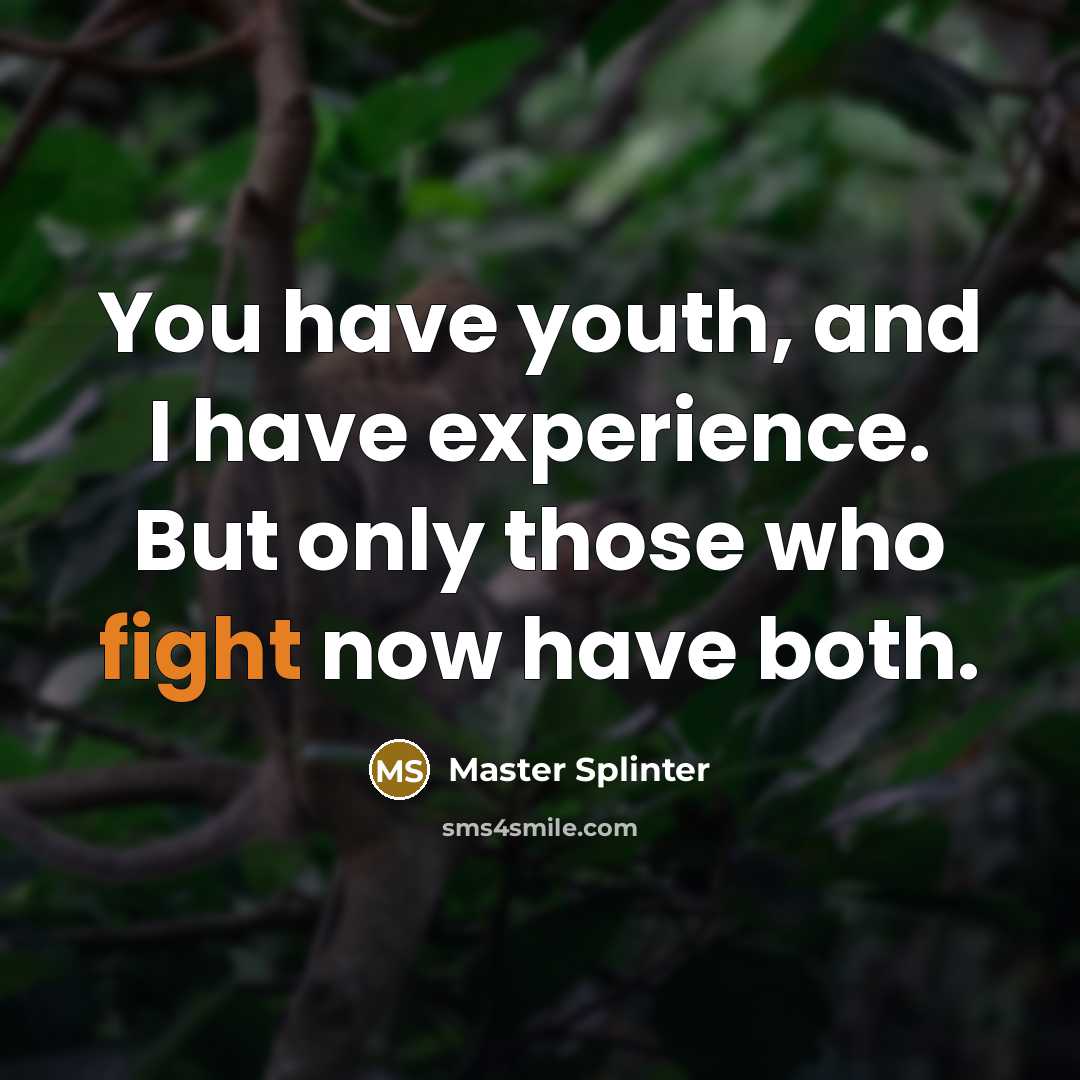“You have youth, and I have experience. But only those who fight now have both.” quote by Master Splinter