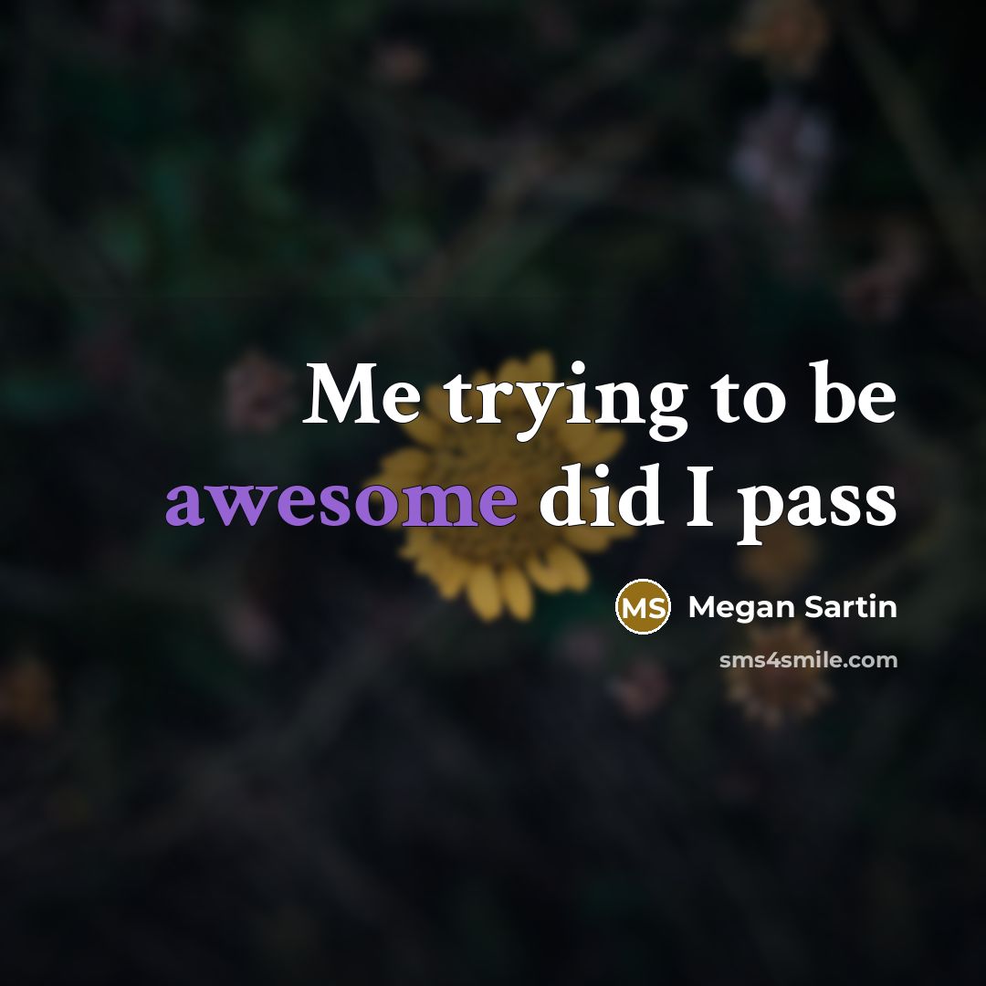 “Me trying to be awesome did I pass…” quote by Megan Sartin
