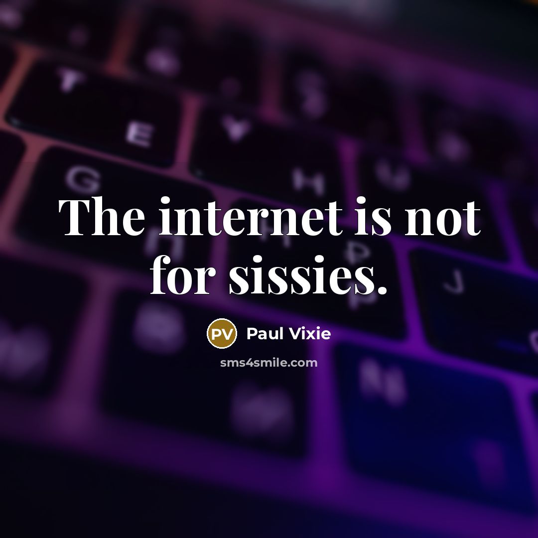 “The internet is not for sissies.…” quote by Paul Vixie