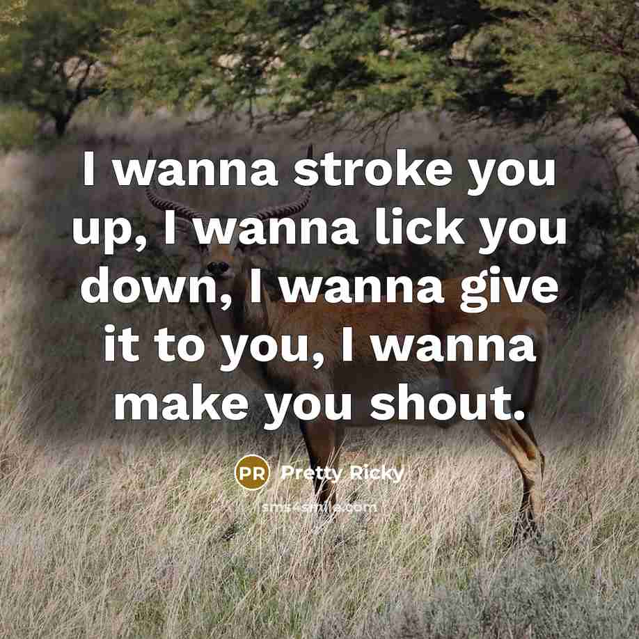 “I wanna stroke you up, I wanna lick you down,…” quote by Pretty Ricky