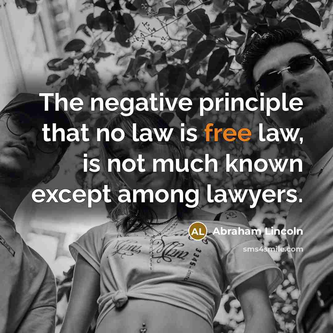 “The negative principle that no law is free law, is…” quote by Abraham Lincoln