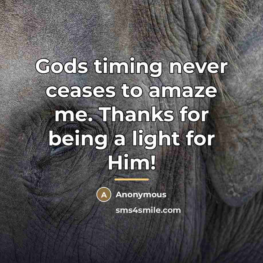 “Gods timing never ceases to amaze me. Thanks for being…” quote by Anonymous