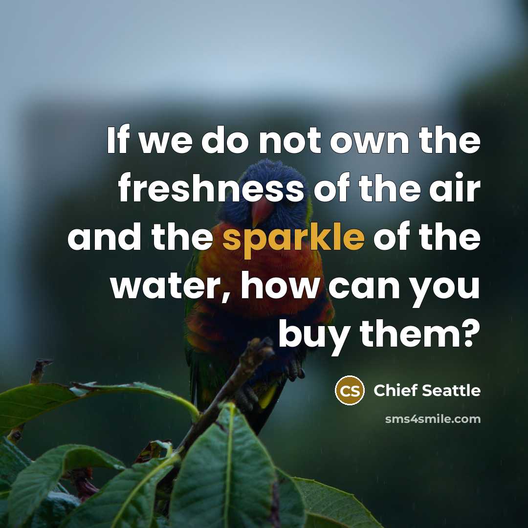 “If we do not own the freshness of the air…” quote by Chief Seattle
