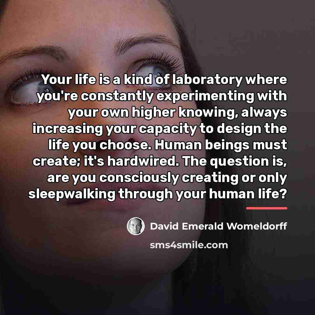 “Your life is a kind of laboratory where you're constantly…” quote by David Emerald Womeldorff