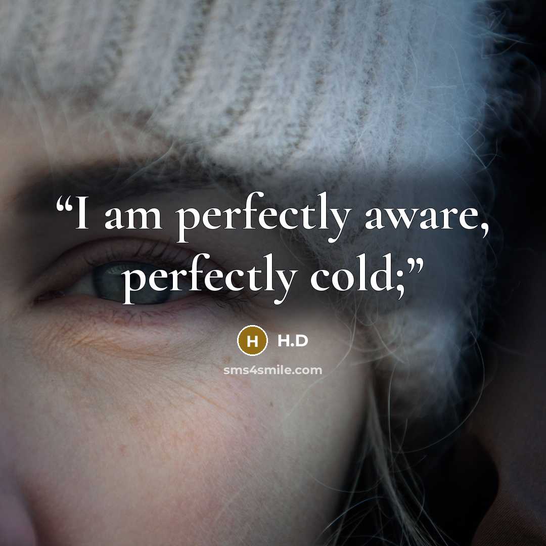 “I am perfectly aware, perfectly cold;” quote by H.D