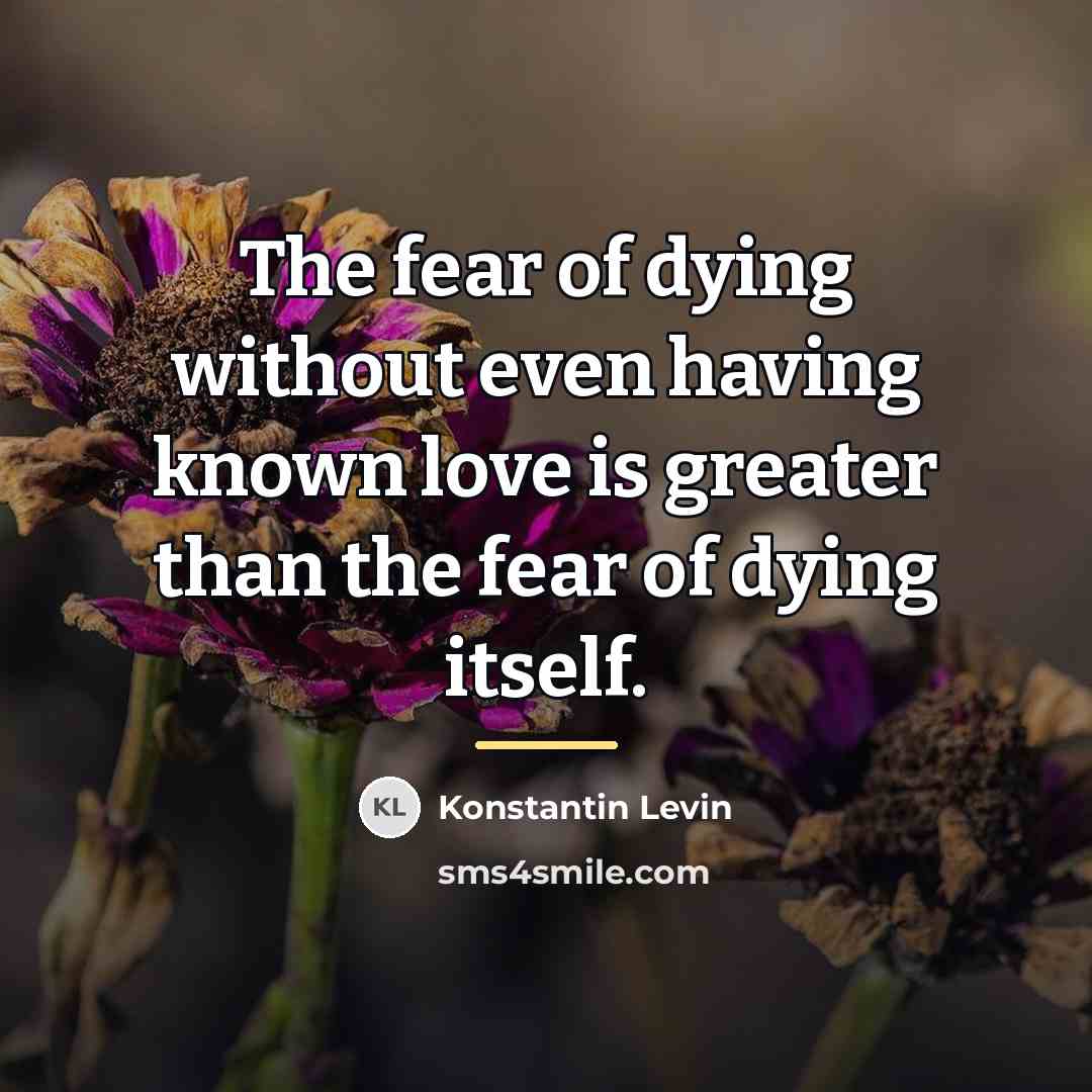 “The fear of dying without even having known love is…” quote by Konstantin Levin