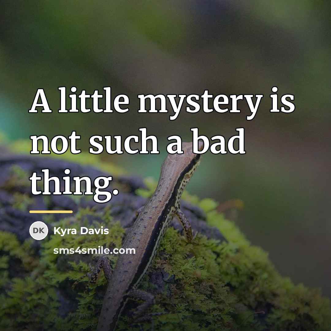 “A little mystery is not such a bad thing.…” quote by Kyra Davis