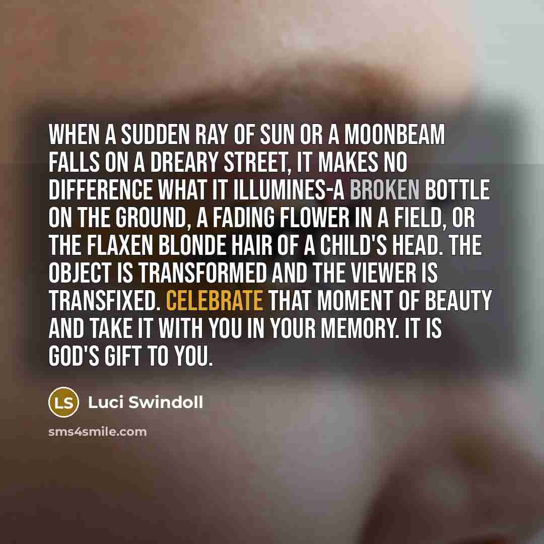“When a sudden ray of sun or a moonbeam falls…” quote by Luci Swindoll