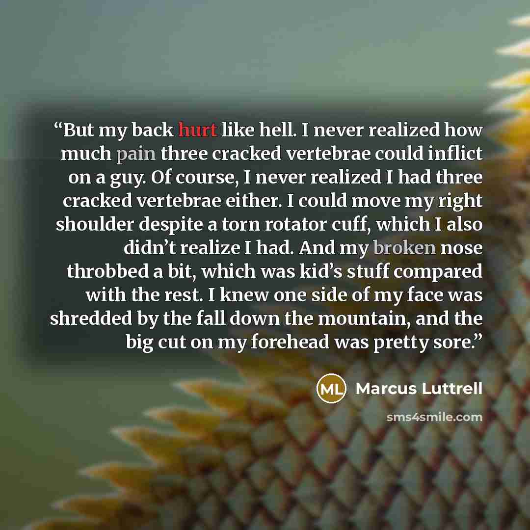 “But my back hurt like hell. I never realized how much pain three cracked vertebrae could inflict on a guy. Of course, I never realized I had three cracked vertebrae either. I could move my right shoulder despite a torn rotator cuff, which I also didn’t realize I had. And my broken nose throbbed a…” quote by Marcus Luttrell