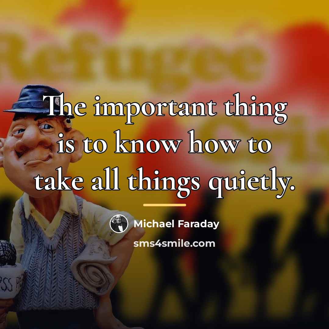 “The important thing is to know how to take all…” quote by Michael Faraday