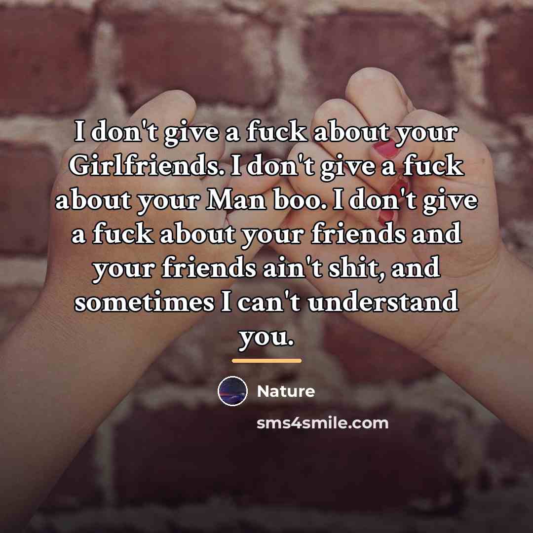 “I don't give a fuck about your Girlfriends. I don't…” quote by Anonymous