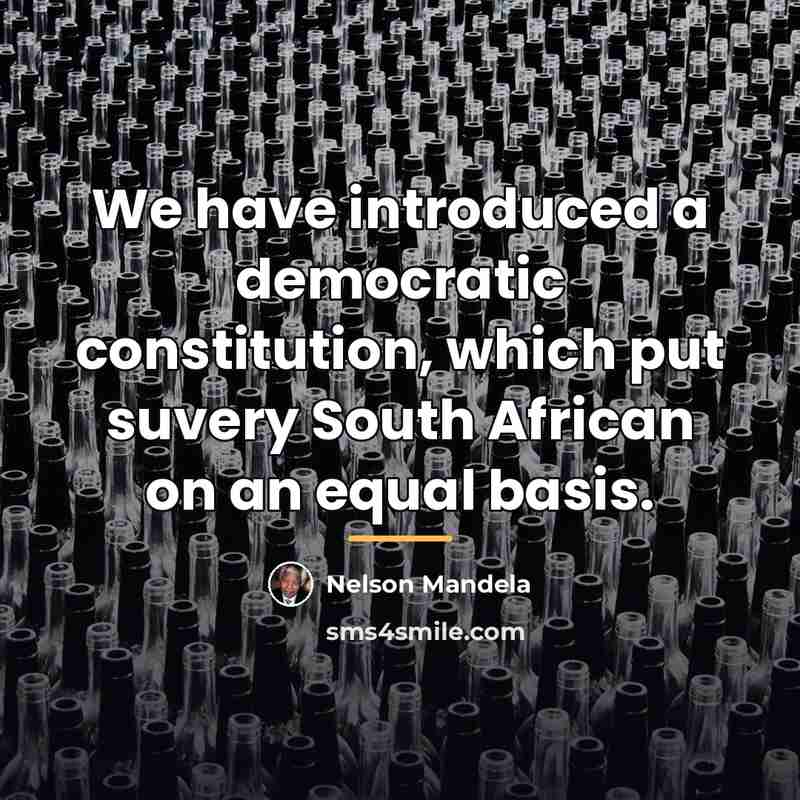 “We have introduced a democratic constitution, which put suvery South…” quote by Nelson Mandela