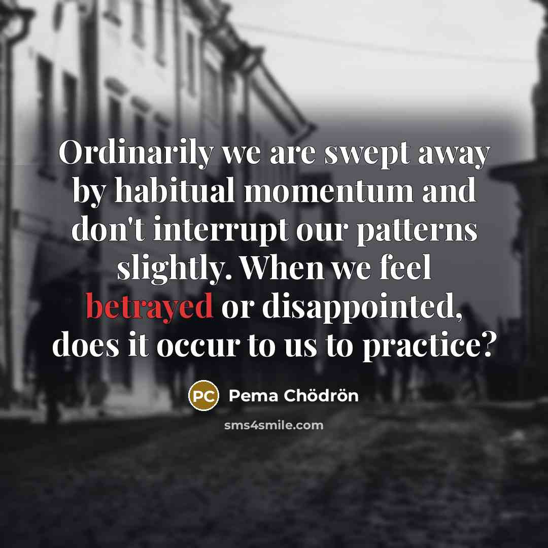 “Ordinarily we are swept away by habitual momentum and don't…” quote by Pema Chodron