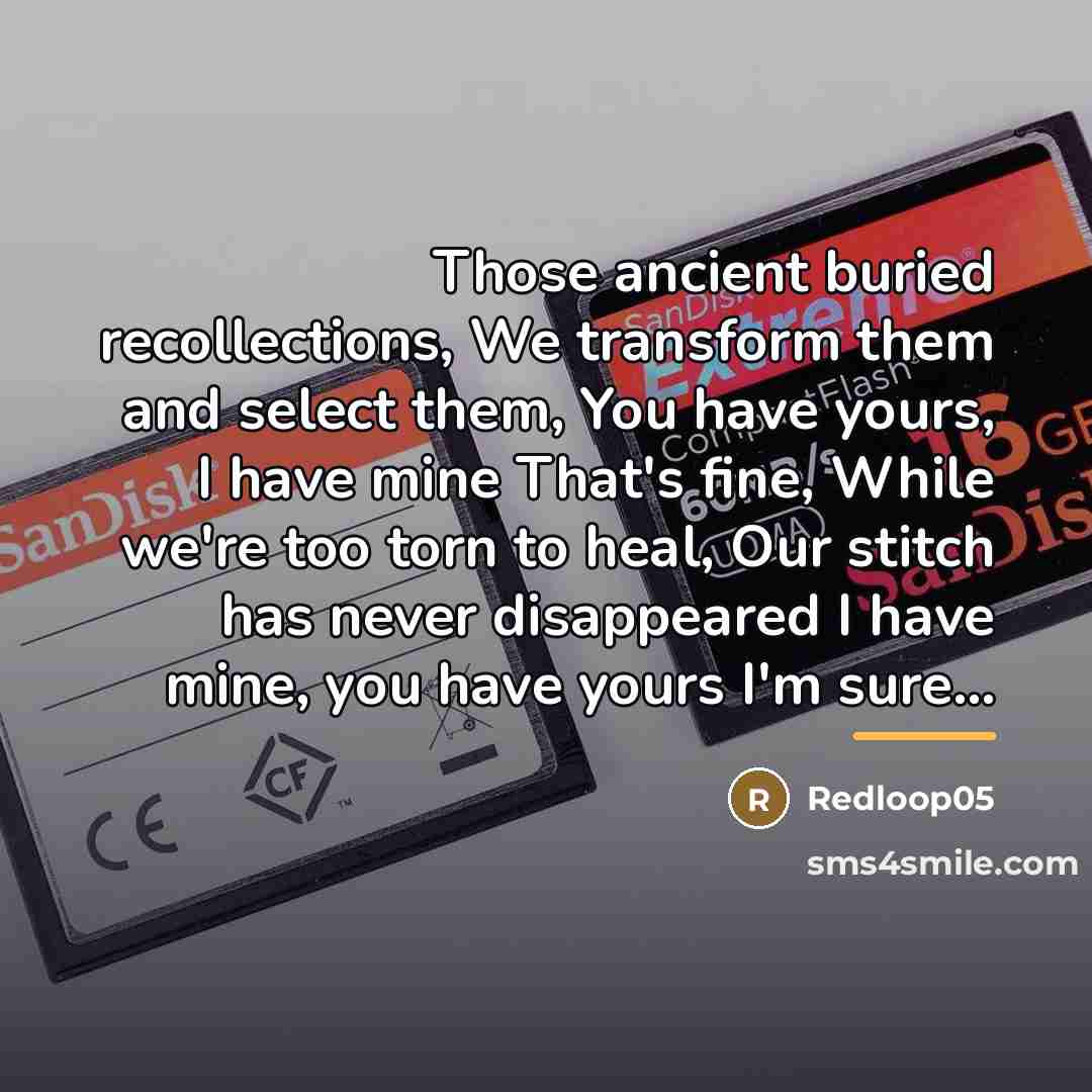 “Those ancient buried recollections, We transform them and select them,…” quote by Redloop05