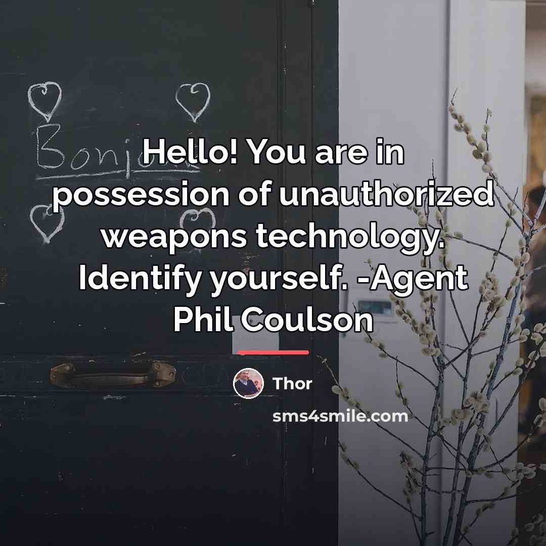 “Hello! You are in possession of unauthorized weapons technology. Identify…” quote by Thor