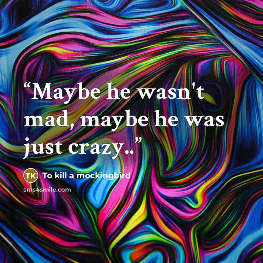 “Maybe he wasn't mad, maybe he was just crazy..” quote by To kill a mockingbird