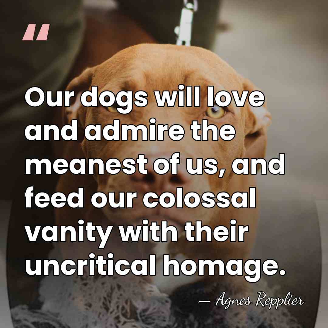Our dogs will love and admire the meanest of us, and feed&hellip; - Agnes Repplier