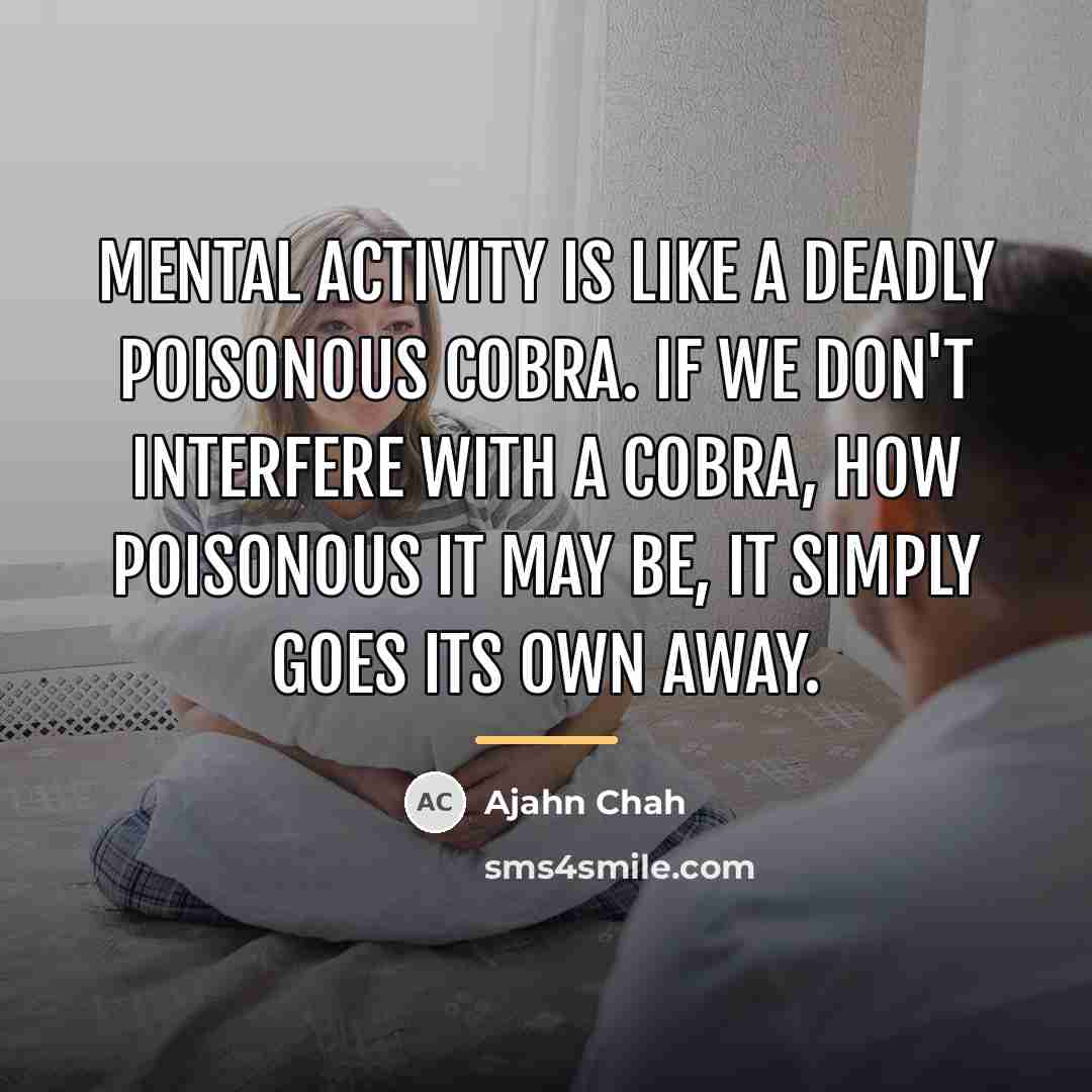 “Mental activity is like a deadly poisonous cobra. If we…” quote by Ajahn Chah