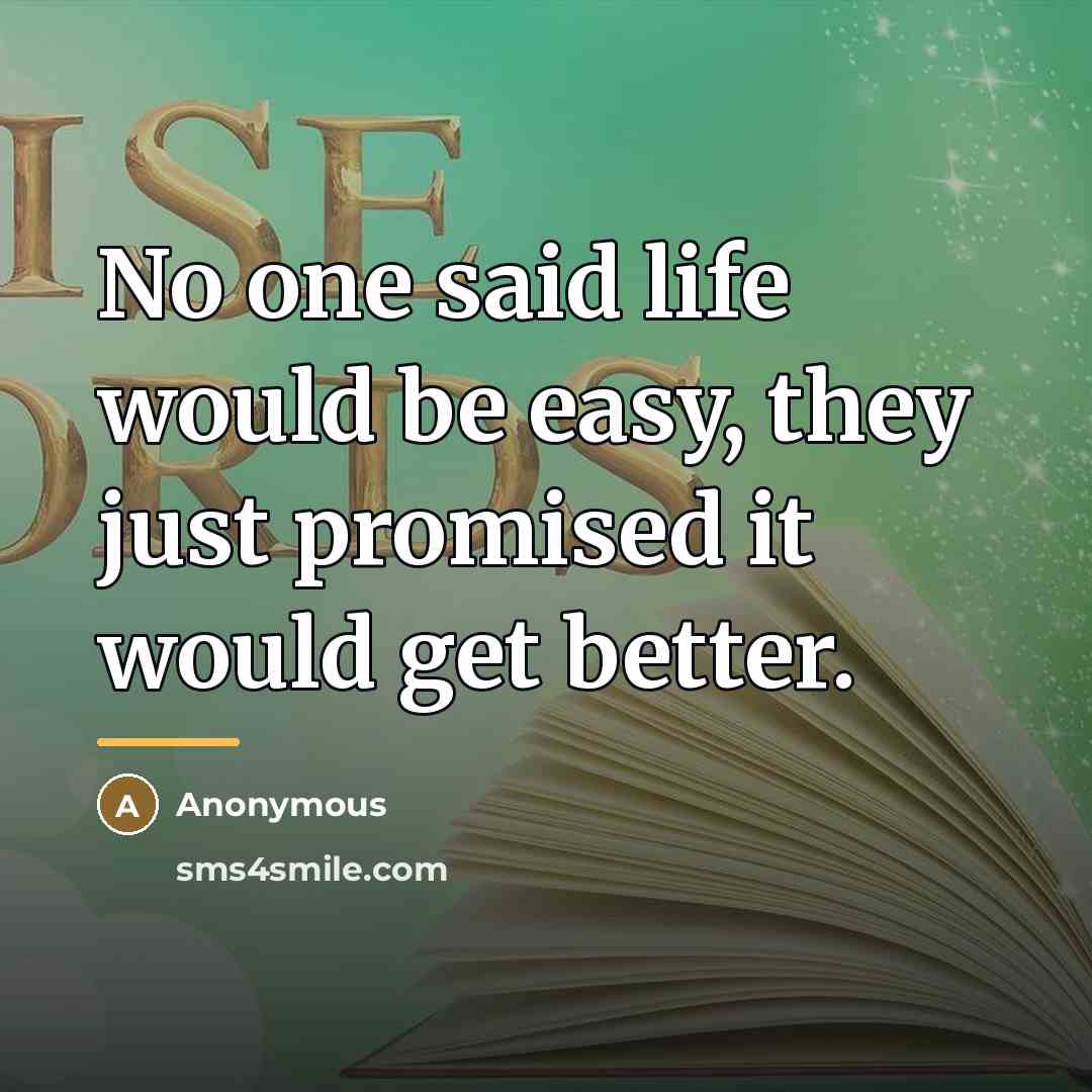 “No one said life would be easy, they just promised…” quote by Anonymous