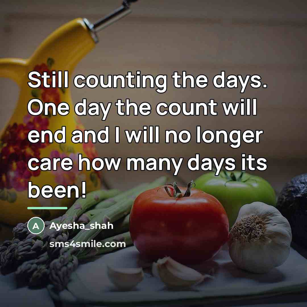 “Still counting the days. One day the count will end…” quote by Ayesha_Shah