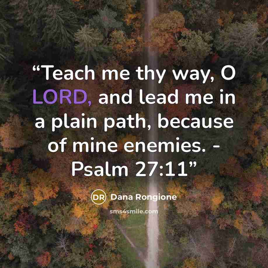 “Teach me thy way, O LORD, and lead me in a plain path, because of mine enemies. - Psalm 27:11” quote by Dana Rongione