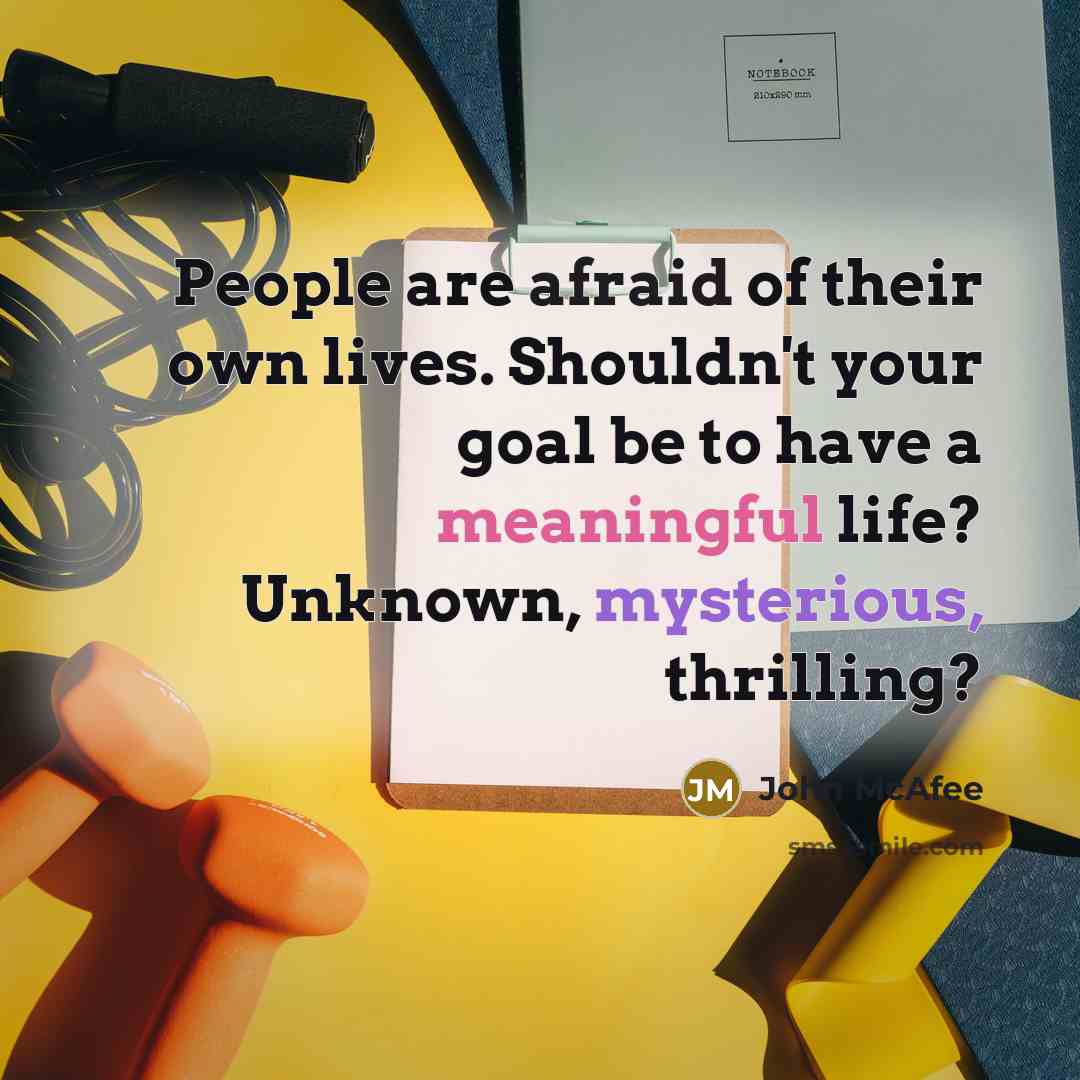 “People are afraid of their own lives. Shouldn't your goal be to have a meaningful life? Unknown, mysterious, thrilling?” quote by John McAfee