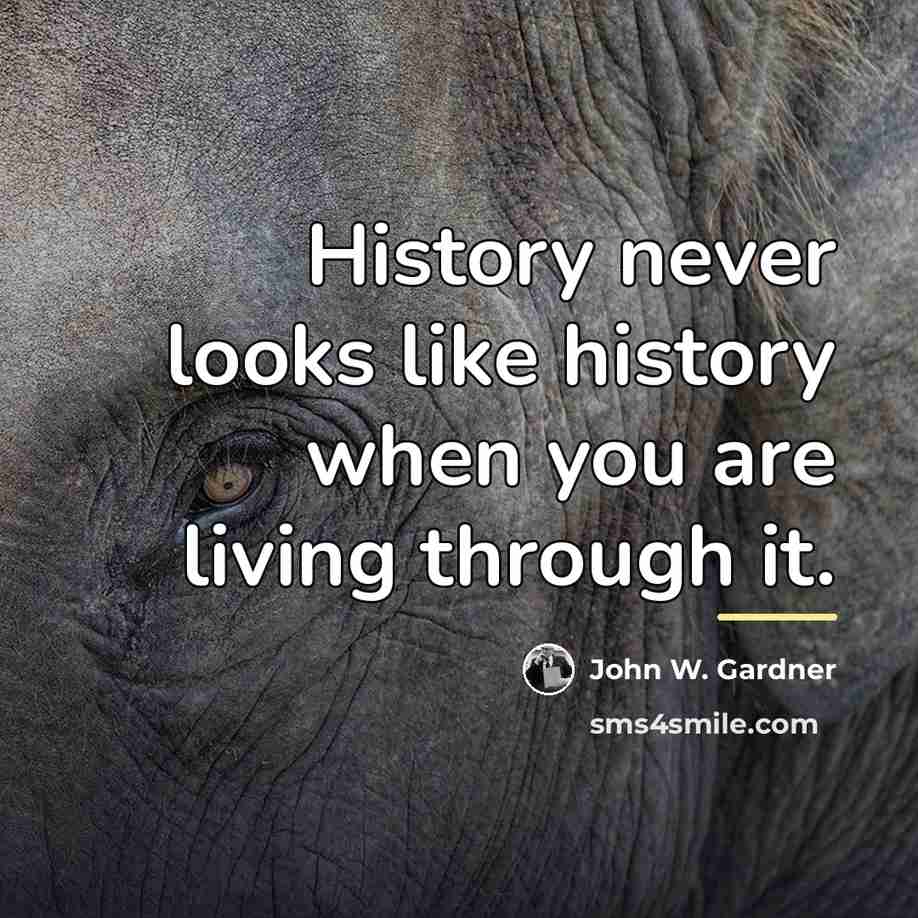 “History never looks like history when you are living through…” quote by John W. Gardner