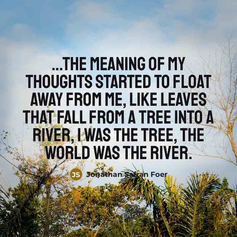 “...the meaning of my thoughts started to float away from…” quote by Jonathan Safran Foer