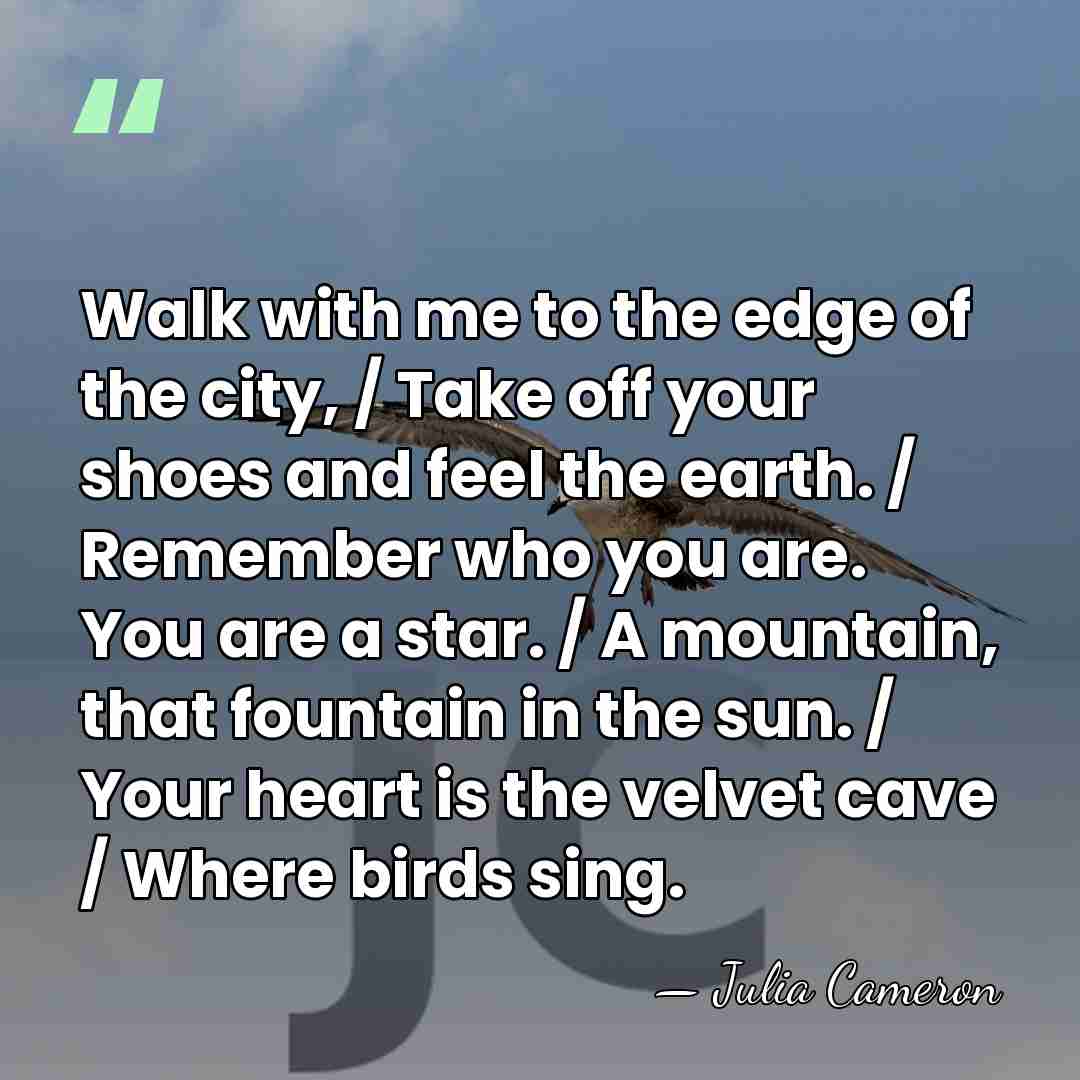 Walk with me to the edge of the city, / Take off&hellip; - Julia Cameron