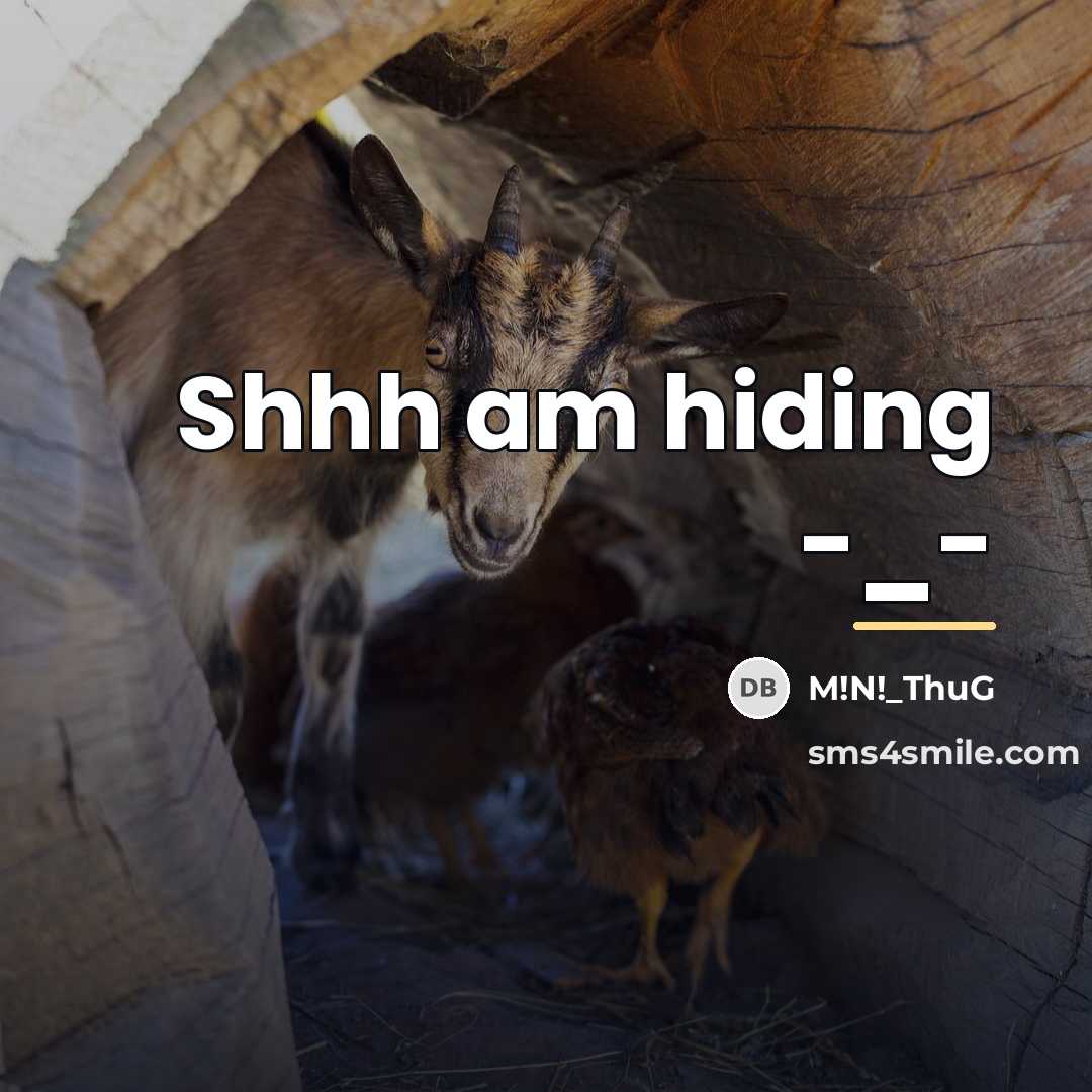 “Shhh am hiding -_-…” quote by M!N!_ThuG