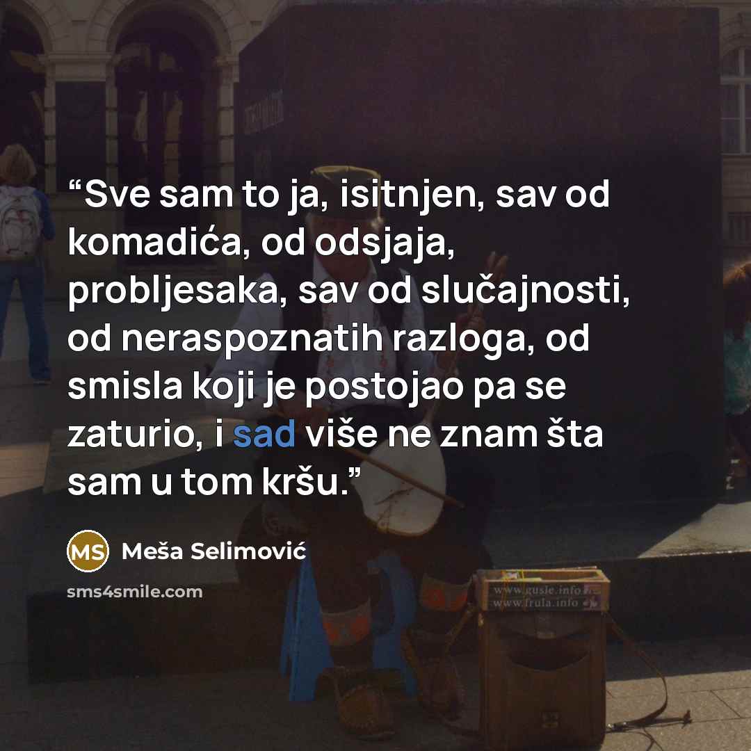 “Sve sam to ja, isitnjen, sav od komadića, od odsjaja, probljesaka, sav od slučajnosti, od neraspoznatih razloga, od smisla koji je postojao pa se zaturio, i sad više ne znam šta sam u tom kršu.” quote by Meša Selimović