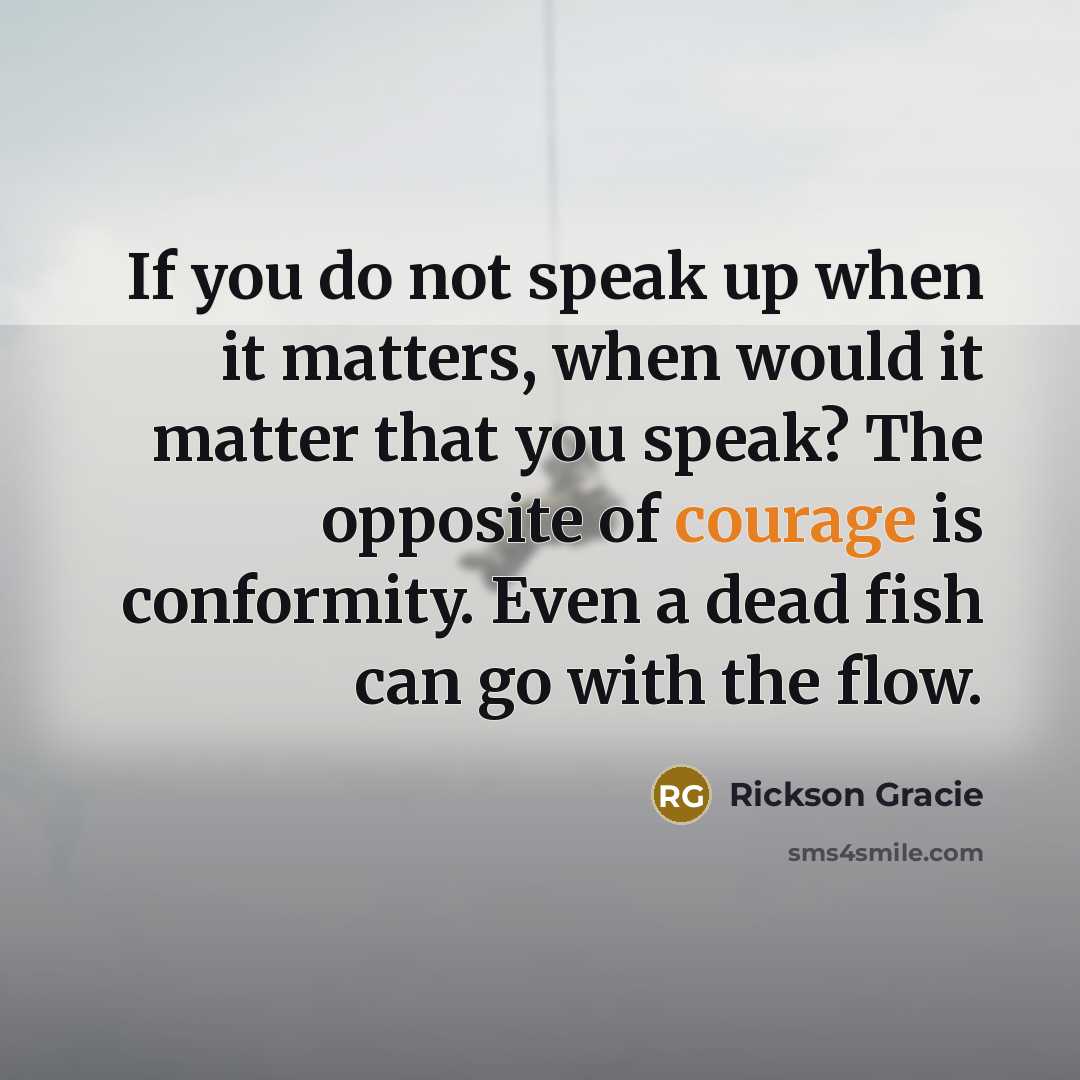 “If you do not speak up when it matters, when…” quote by Rickson Gracie