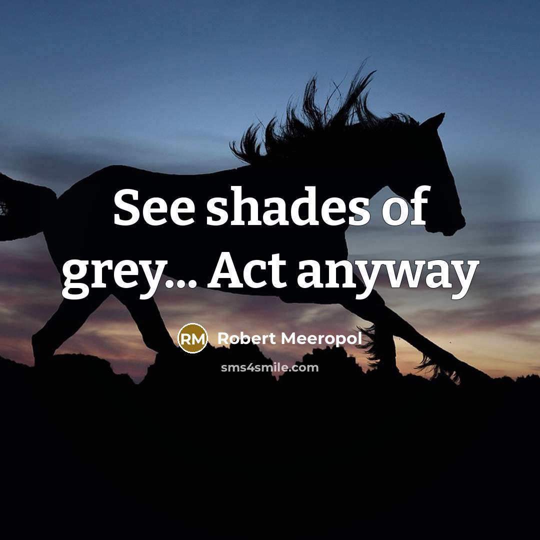 “See shades of grey... Act anyway” quote by Robert Meeropol