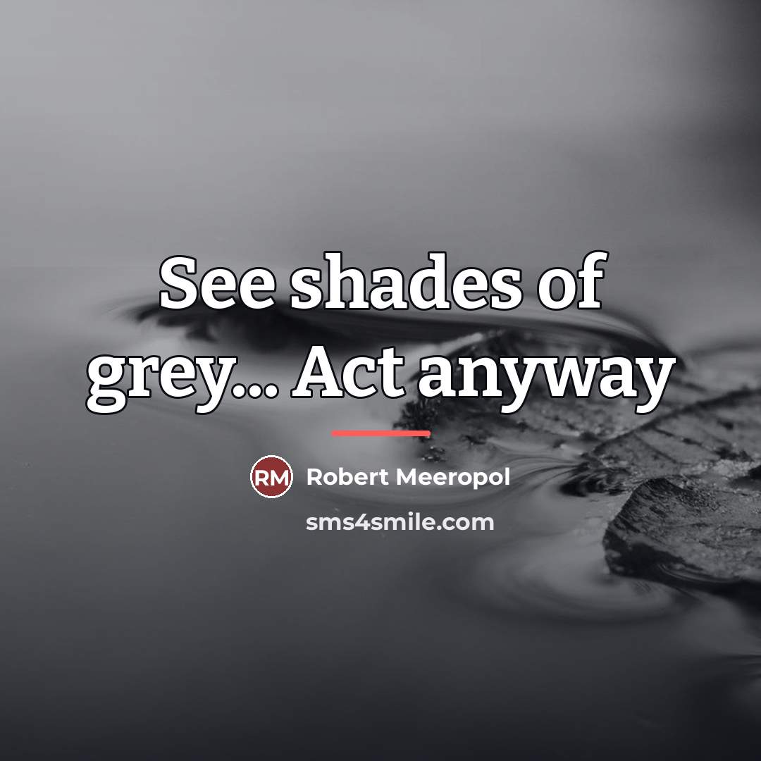 “See shades of grey... Act anyway…” quote by Robert Meeropol