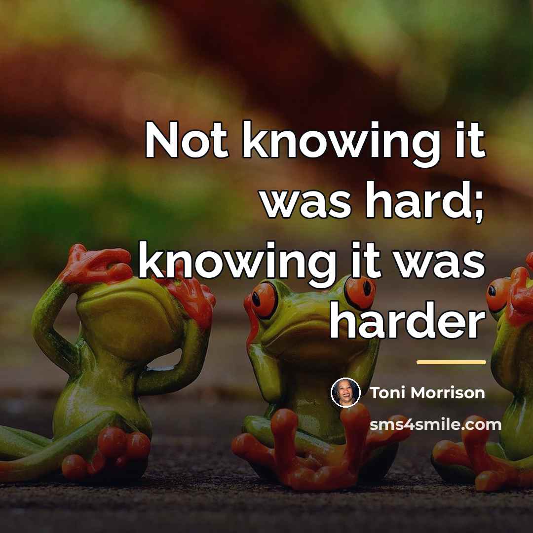 “Not knowing it was hard; knowing it was harder…” quote by Toni Morrison