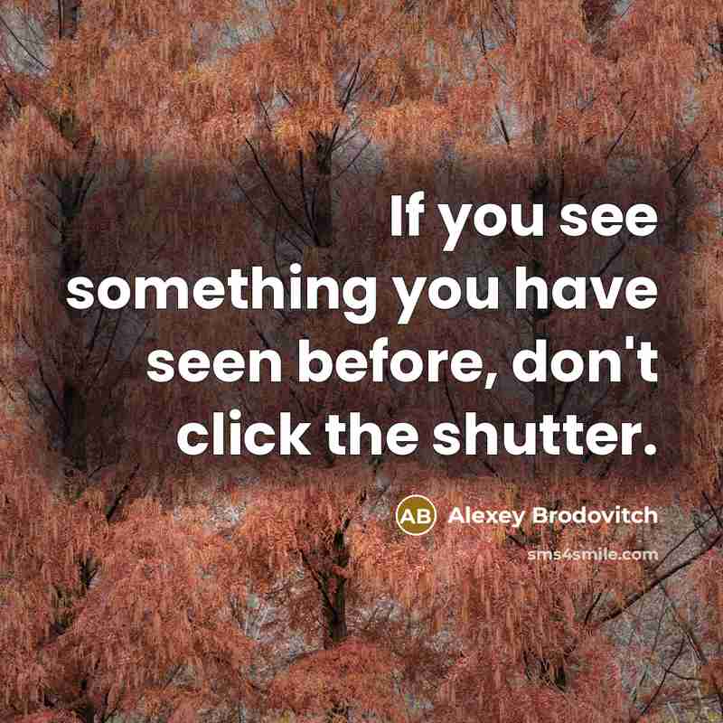“If you see something you have seen before, don't click…” quote by Alexey Brodovitch