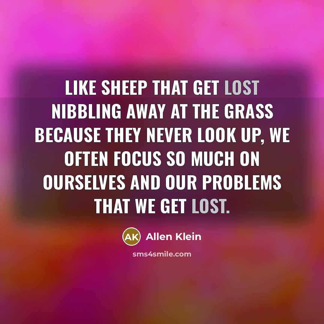 “Like sheep that get lost nibbling away at the grass…” quote by Allen Klein