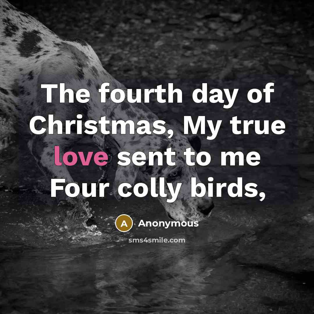 “The fourth day of Christmas, My true love sent to…” quote by Anonymous