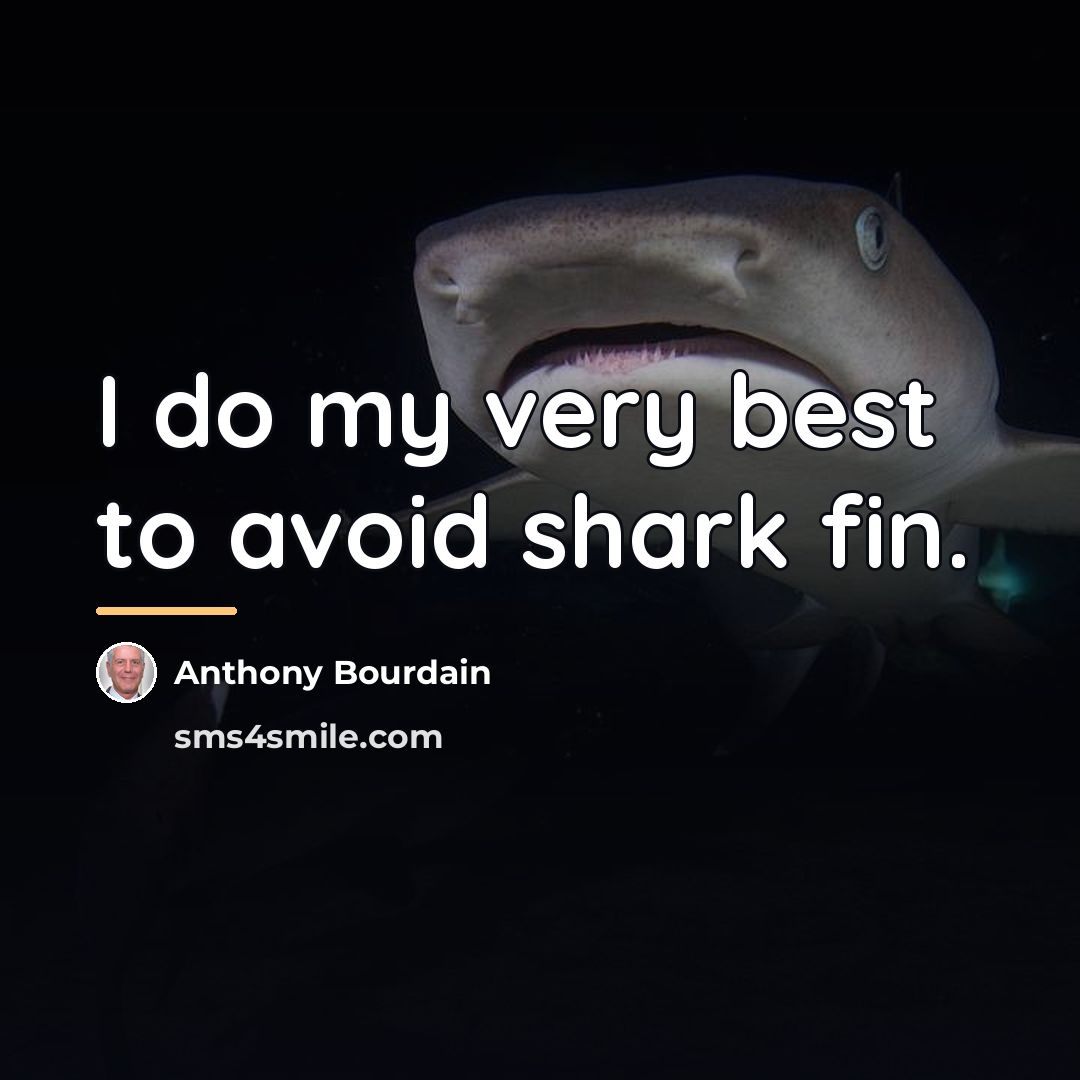 “I do my very best to avoid shark fin.…” quote by Anthony Bourdain