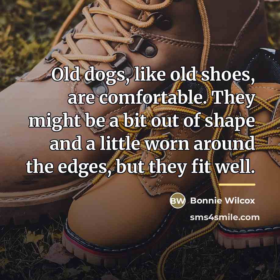 “Old dogs, like old shoes, are comfortable. They might be…” quote by Bonnie Wilcox