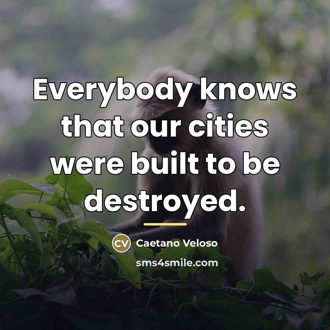“Everybody knows that our cities were built to be destroyed.…” quote by Caetano Veloso