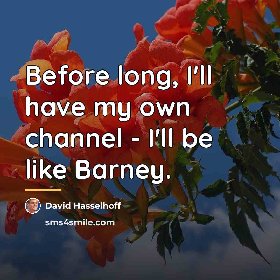 “Before long, I'll have my own channel - I'll be…” quote by David Hasselhoff