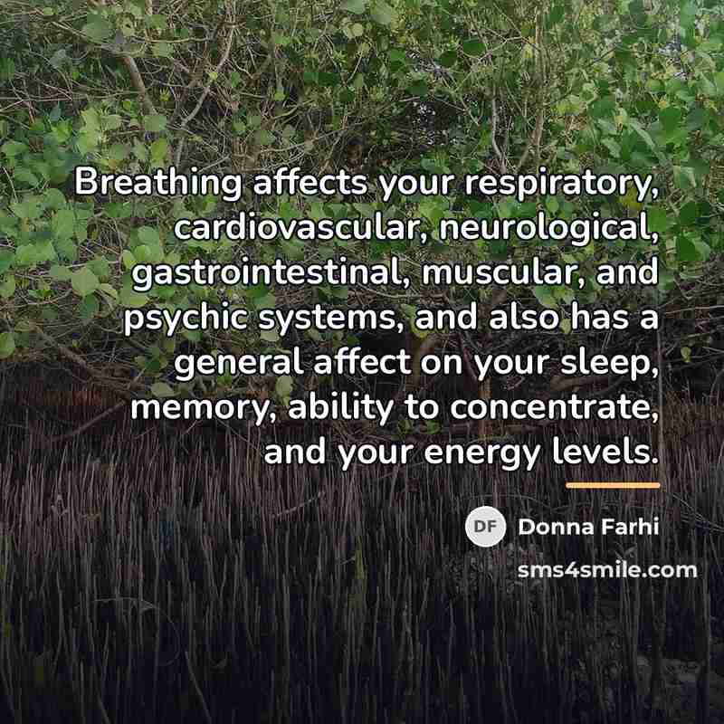 “Breathing affects your respiratory, cardiovascular, neurological, gastrointestinal, muscular, and psychic…” quote by Donna Farhi