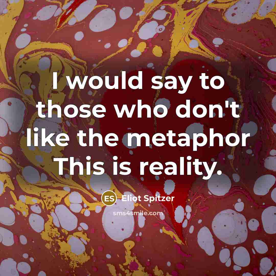 “I would say to those who don't like the metaphor…” quote by Eliot Spitzer