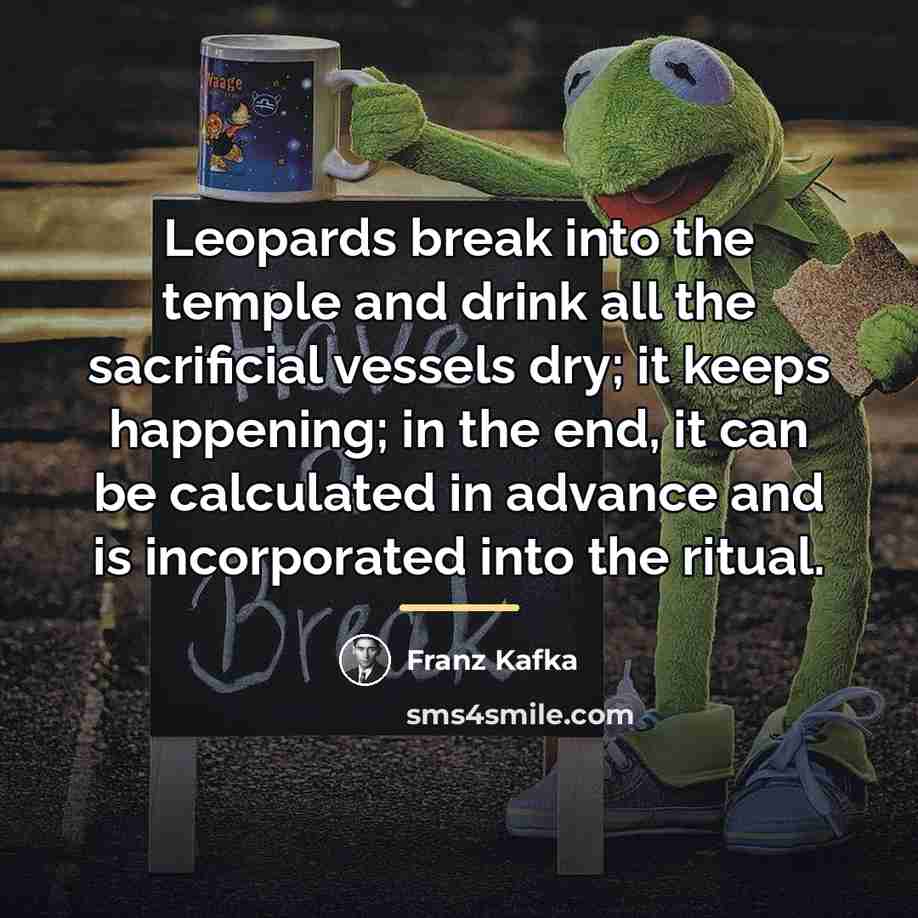 “Leopards break into the temple and drink all the sacrificial…” quote by Franz Kafka