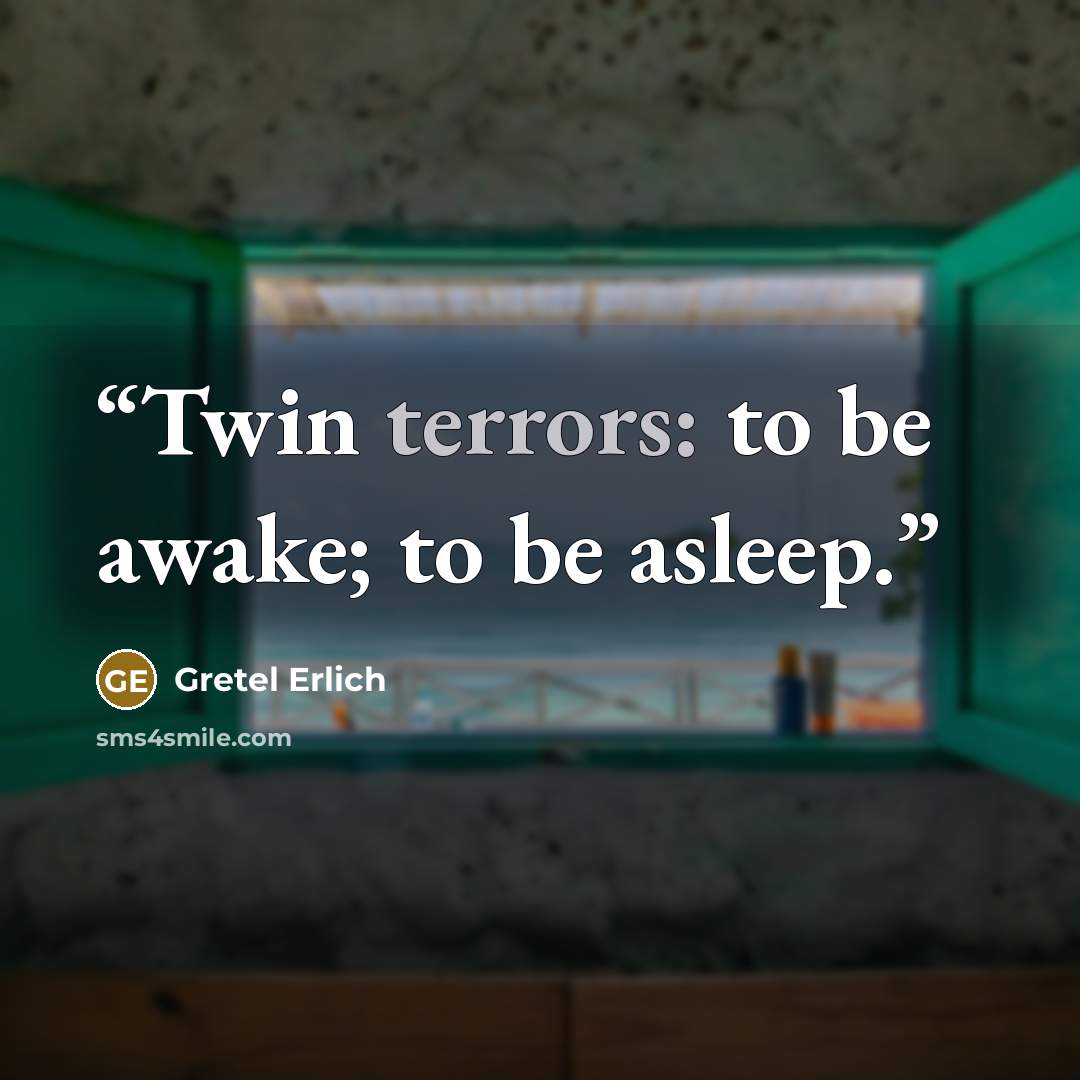 “Twin terrors: to be awake; to be asleep.” quote by Gretel Erlich