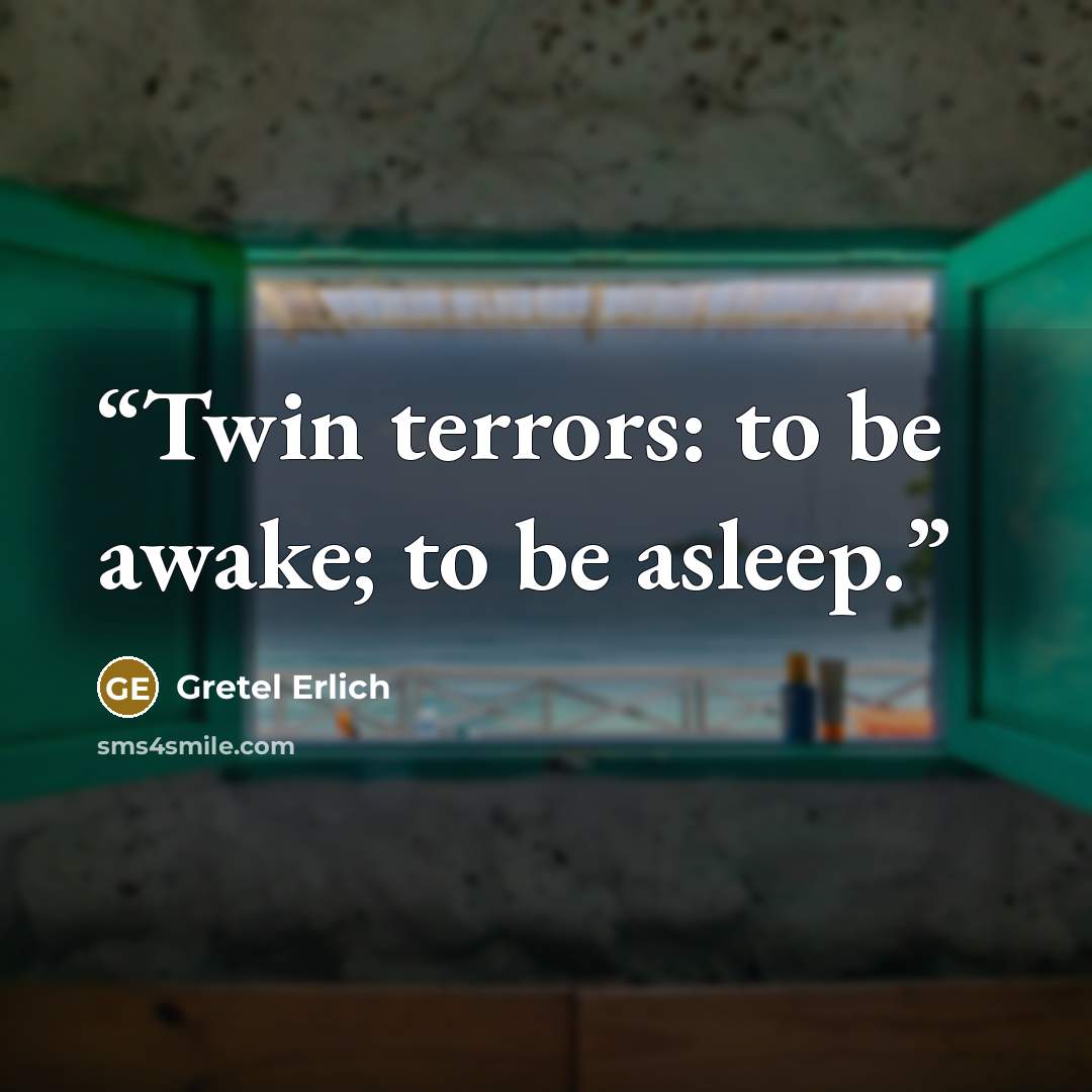 “Twin terrors: to be awake; to be asleep.” quote by Gretel Erlich