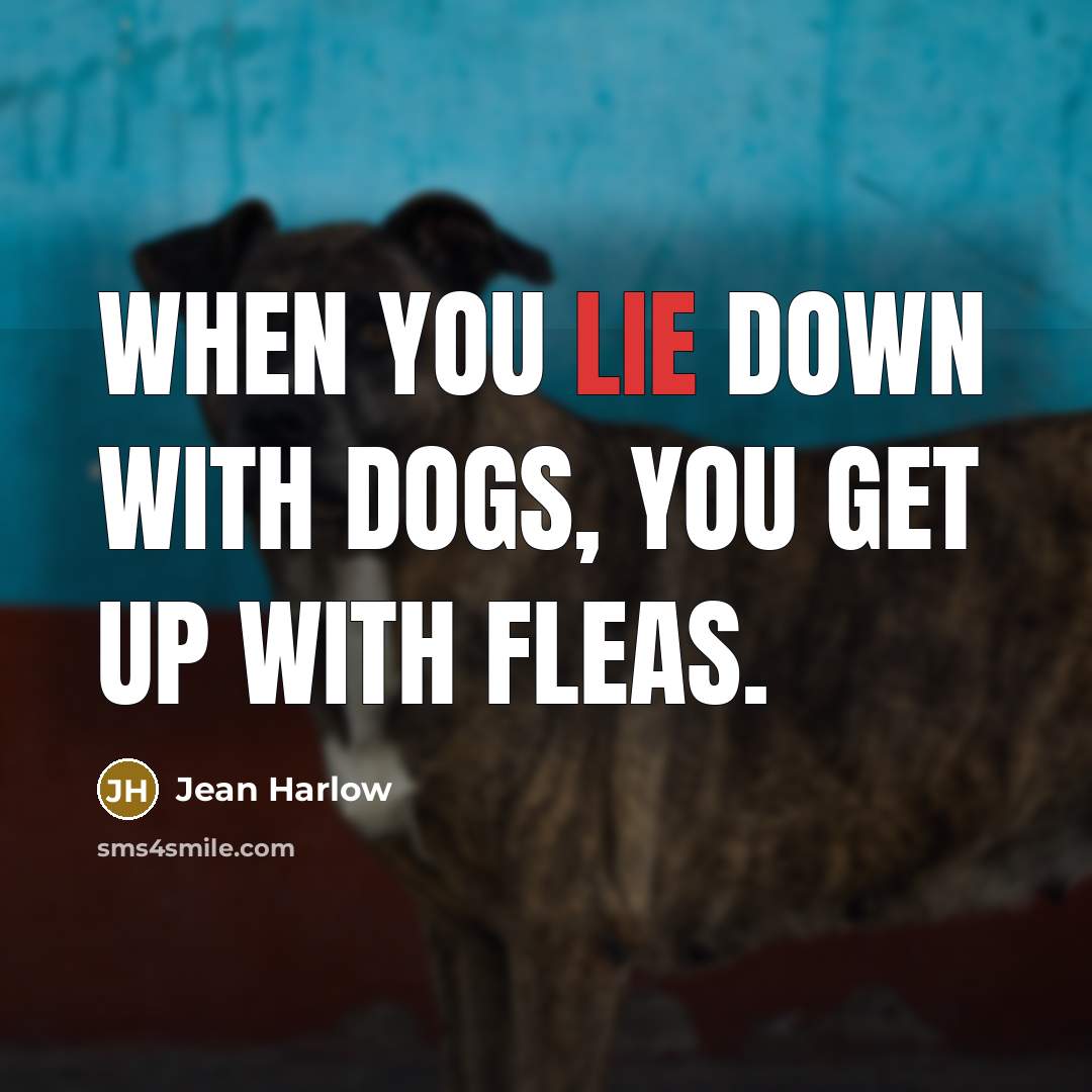 “When you lie down with dogs, you get up with…” quote by Jean Harlow