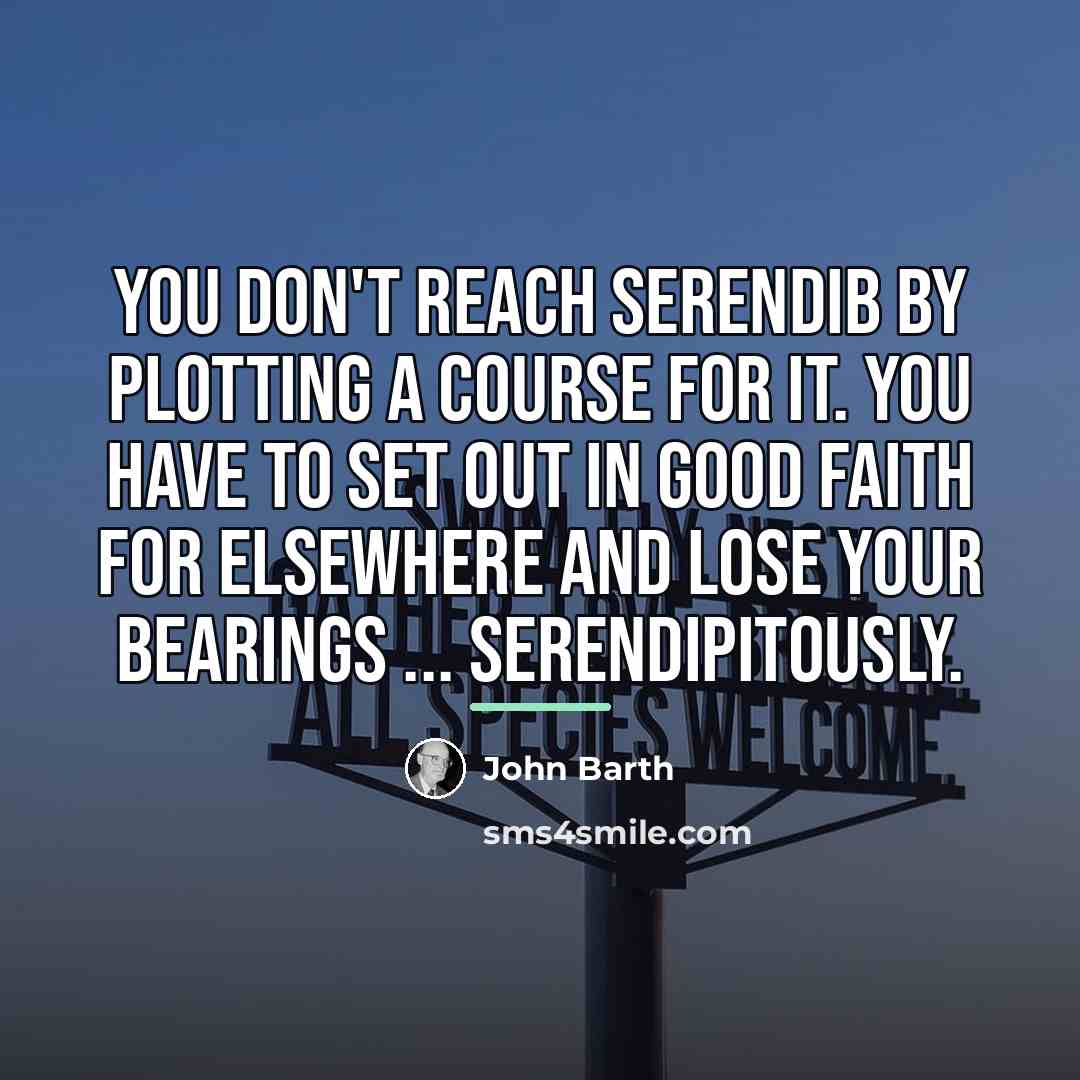 “You don't reach Serendib by plotting a course for it.…” quote by John Barth